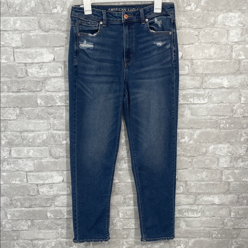 American Eagle Outfitters Dark Blue Skinny Jeans
